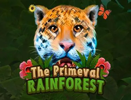 Primeval Rainforest — kagaming