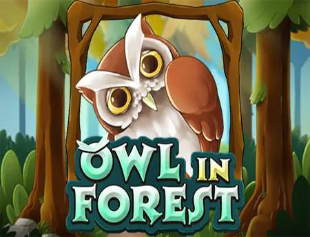 Owl In Forest — kagaming