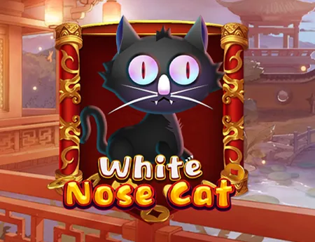 White Nose Cat — kagaming