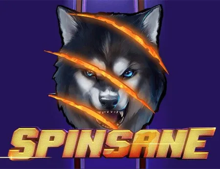 Spinsane — netentgh