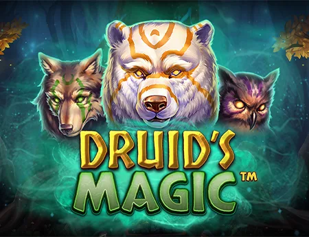Druid's Magic — netentgh