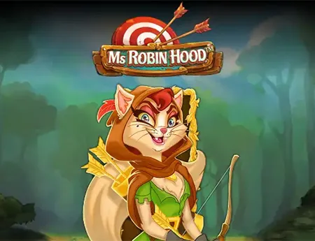 Ms Robin Hood — netentgh