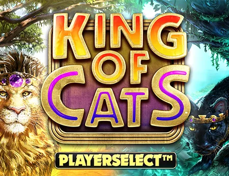 King of Cats — bigtimegaminggh