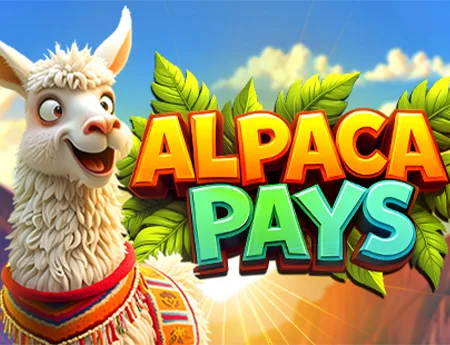 Alpaca Pays — popok