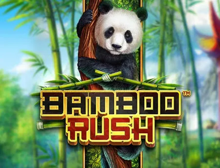 Bamboo Rush — betsofta