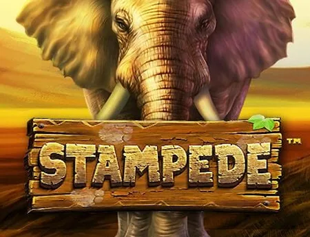 Stampede — betsofta