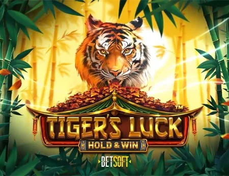 Tiger's Luck: Hold and Win — betsofta