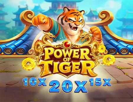 Power of Tiger — smartsoft
