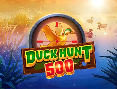 Duck Hunt 500 — avatarux