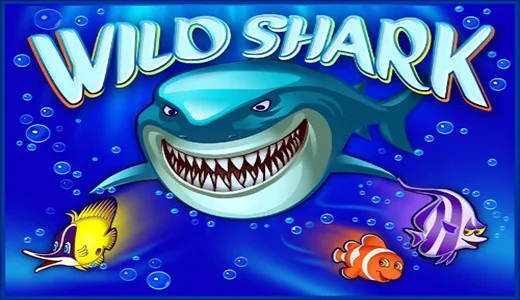 Wild Shark — amatic