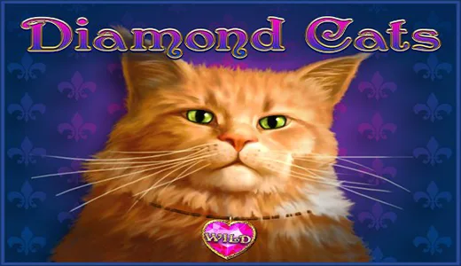 Diamond Cats — amatic