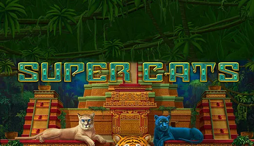 Super Cats — amatic