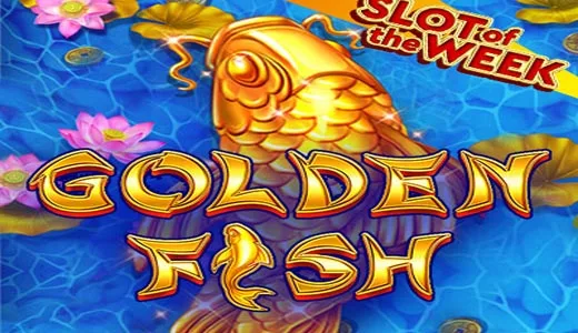 Golden Fish — amatic