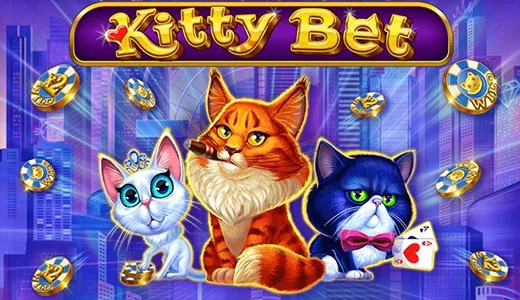 Kitty Bet — amatic