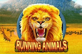 Running Animals — cq9