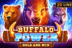 Buffalo Power: Hold and Win — booongo