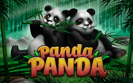 Panda Panda — habanero