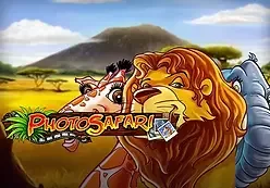 Photo Safari — playngo
