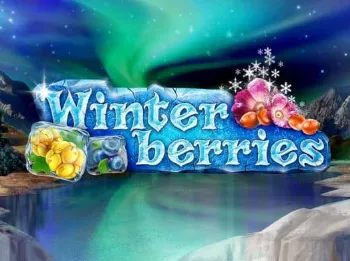 Winter Berries — yggdrasil
