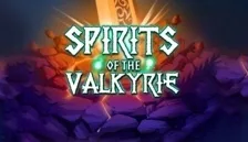 Spirits Of The Valkyrie — novomatic