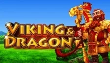 Viking & Dragon — novomatic