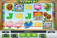 Flowers — netent