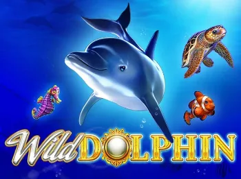 Wild Dolphin — gameart