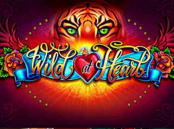 Wildat Heart