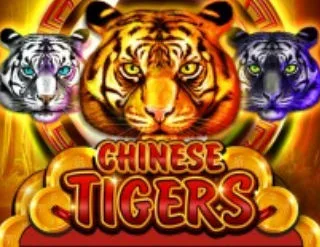 Chinese Tigers