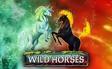 Wild Horses — greentube