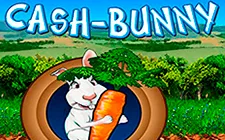 Cash Bunny