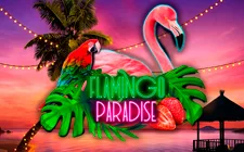 Flamingo Paradise — redrake