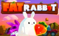 Fat Rabbit