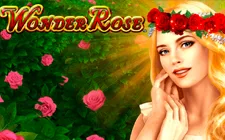 Wonder Rose — konami